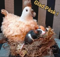 Glad Påsk
