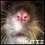 Nutiz