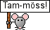 tammöss